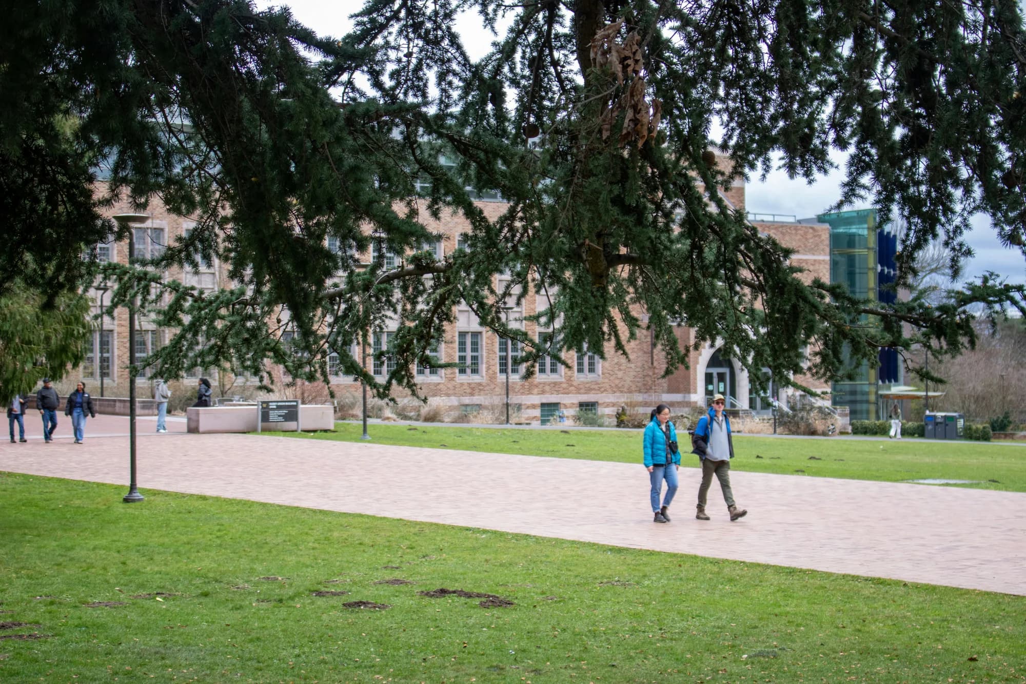 Supervision and Hands On Research Experience